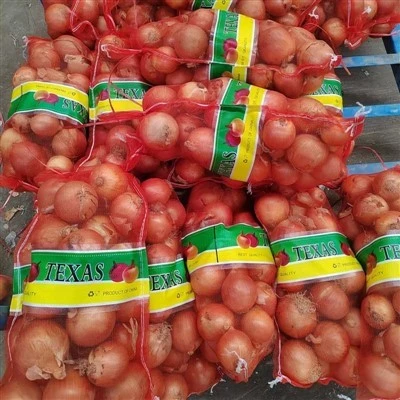 4-6cm Yellow Onion