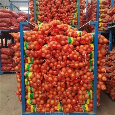 5-8cm Yellow Onion